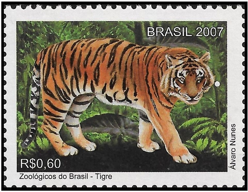 2007C19.2