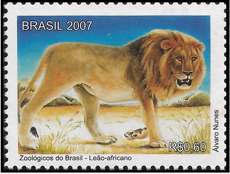 2007C19.4