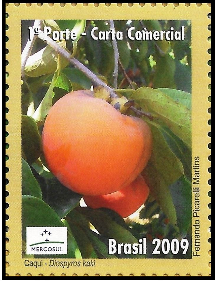 2009C20.10