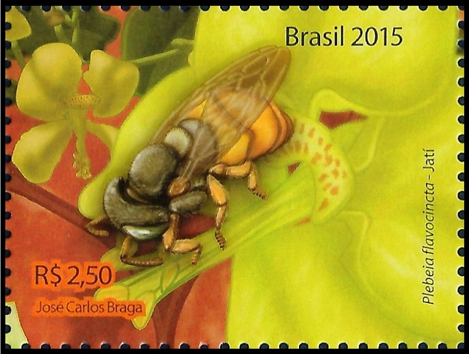 2015C14.2
