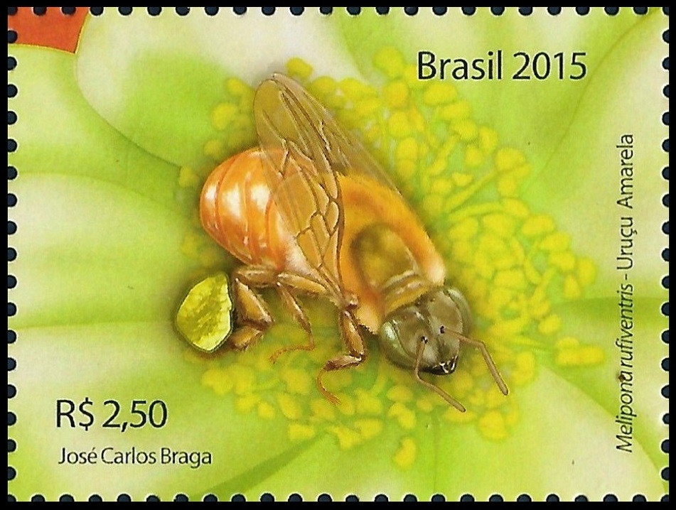 2015C14.3