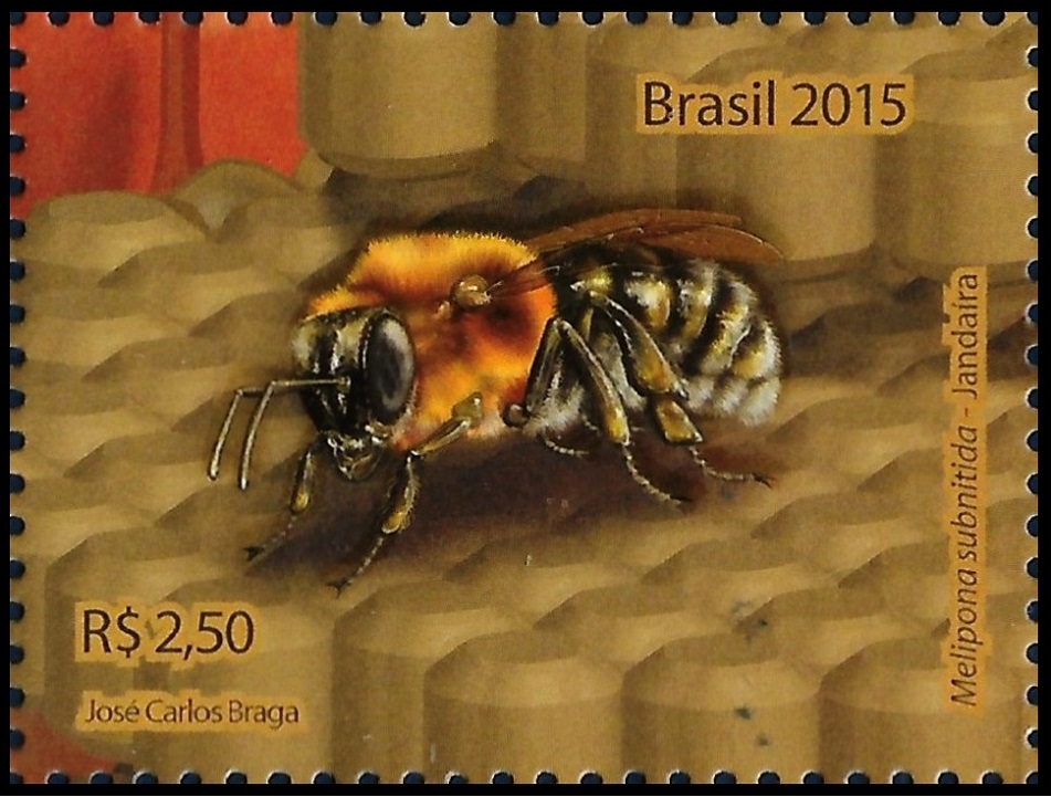 2015C14.4