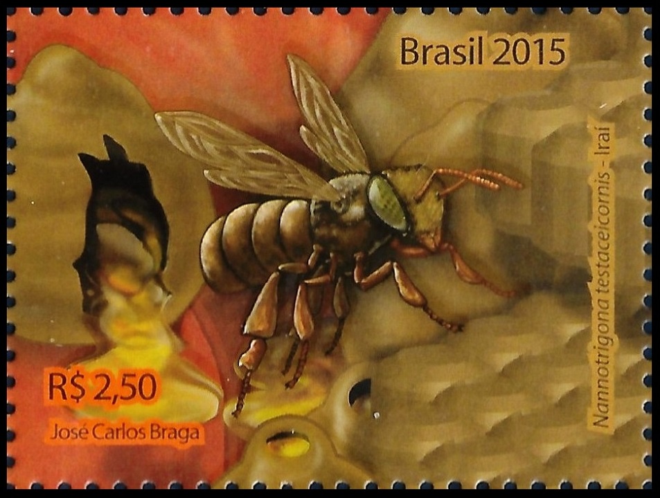 2015C14.6