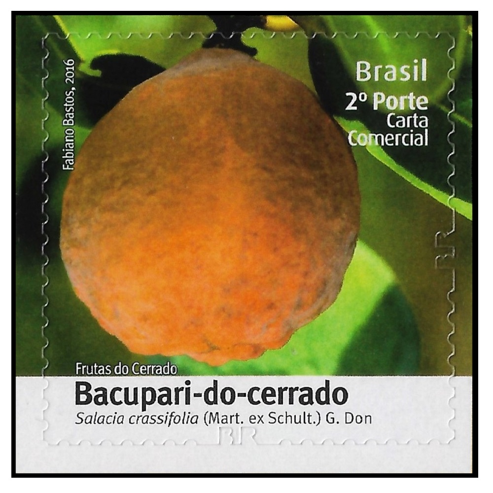 2016C18.12