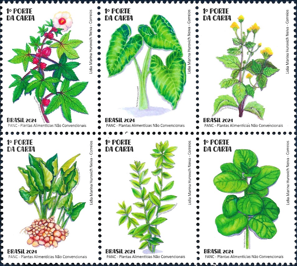 Plantas Alimentícias Não Convencionais PANC
