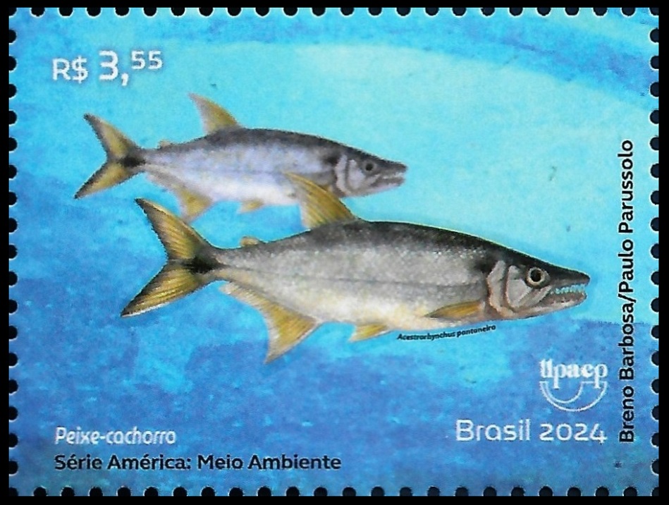 2024C9.2
