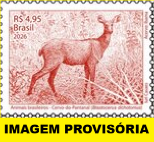 2026C5.1